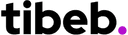 Tibebu Kaleb logo